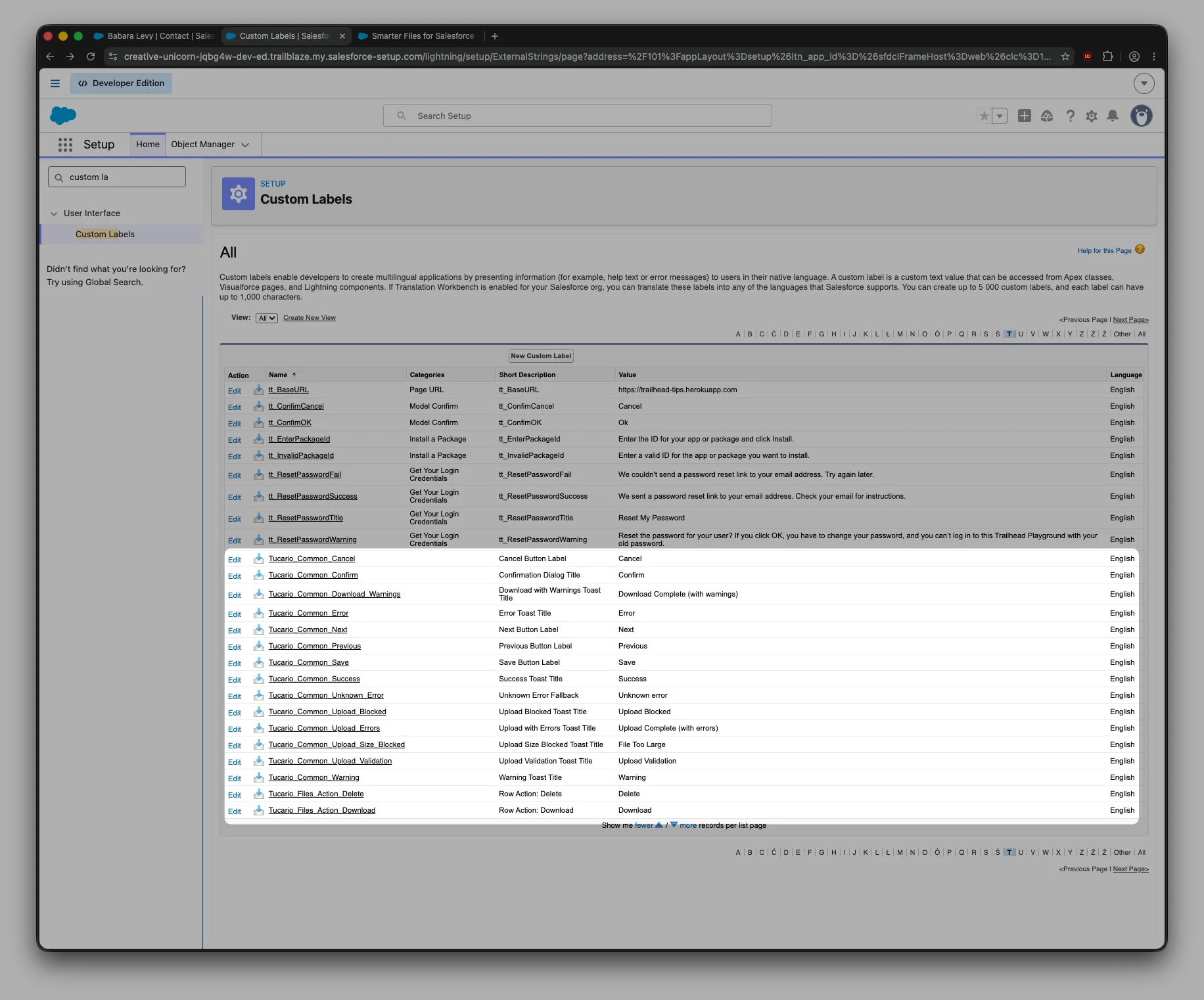 Custom Labels filtered by Tucario in Salesforce Setup