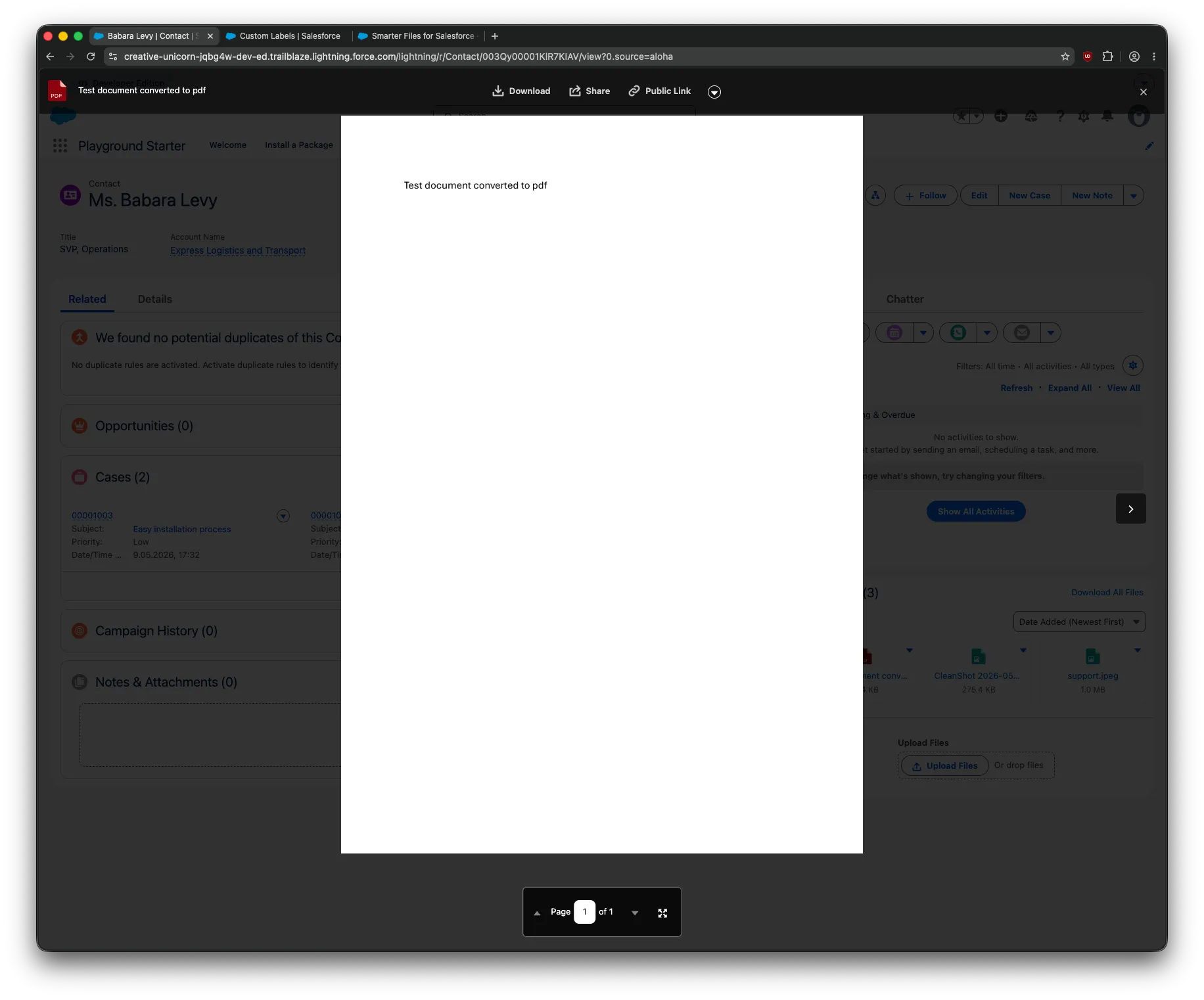 Salesforce native file preview opened from Smarter Files